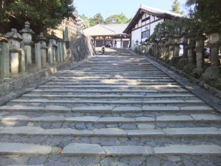 東大寺17