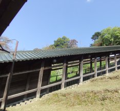 東大寺29