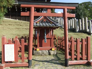 東大寺22