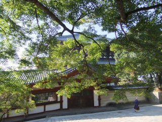 東大寺35