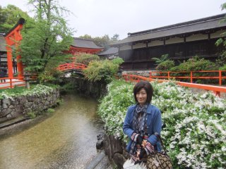 下鴨神社6