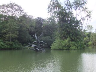 SwanLake1