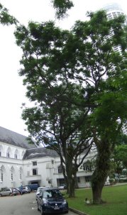 フラトン・ホテル4