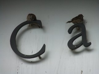 フラトン・ホテル6