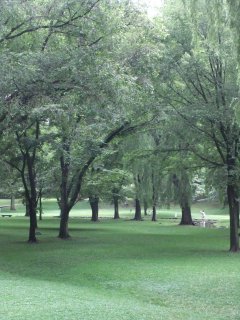 北海道大学