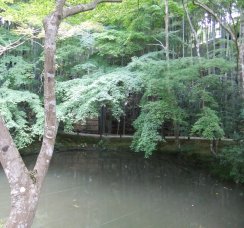 円光寺12