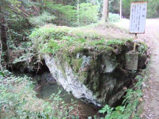 韓竈神社7