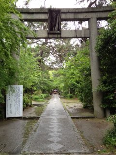 梨の木神社1