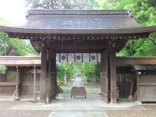 梨の木神社2