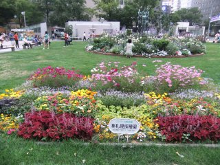 大通り公園2