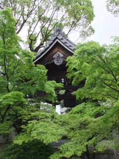 廬山寺7