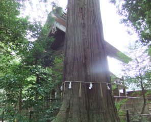 須佐神社6