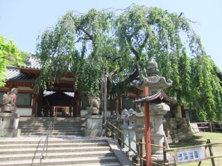 氷室神社