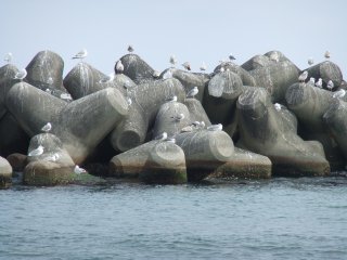 富山旅行23