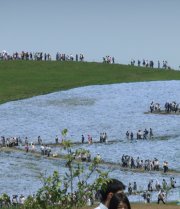 ひたち海浜公園12