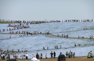 ひたち海浜公園13