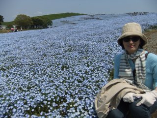 ひたち海浜公園17