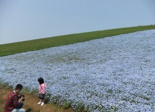 ひたち海浜公園18