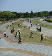 ひたち海浜公園2