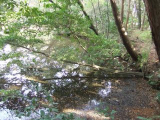 京都七福神めぐり60