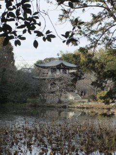 京都七福神めぐり64