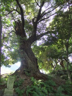 京都七福神めぐり59