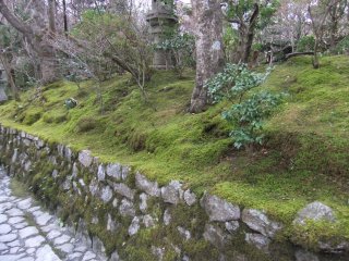 京都七福神めぐり19