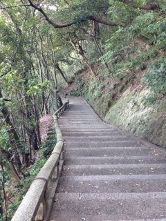 2014京都14