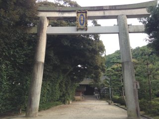 2014京都18