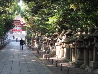 2014京都7