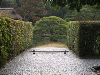 京都冬の旅107