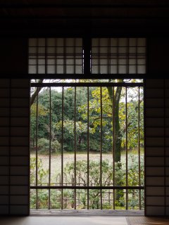 京都冬の旅157