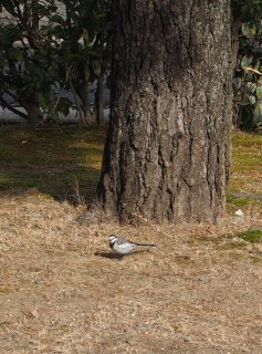 京都冬の旅176