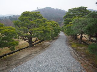 京都冬の旅63