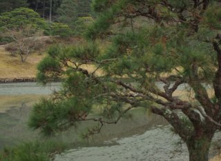 京都冬の旅94