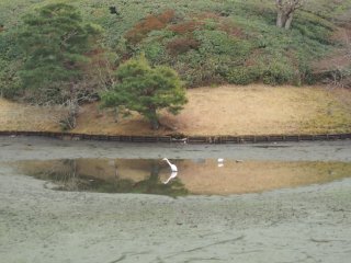 京都冬の旅95