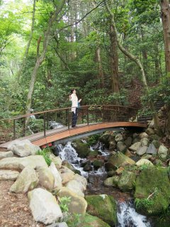 岡田美術館10