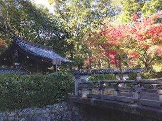 西芳寺1