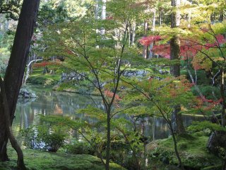 西芳寺10