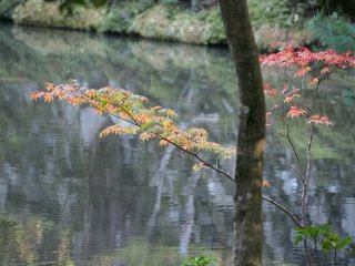 西芳寺11