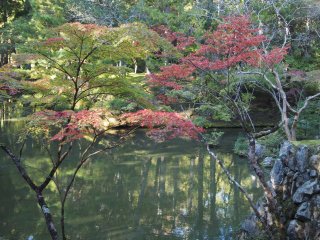 西芳寺19
