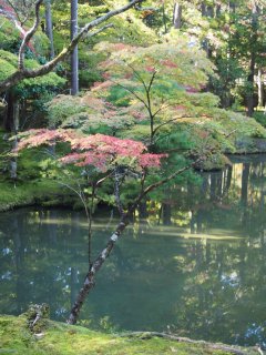 西芳寺20