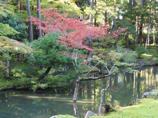 西芳寺22