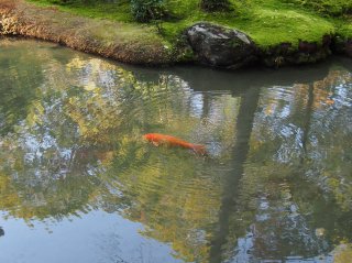 西芳寺24