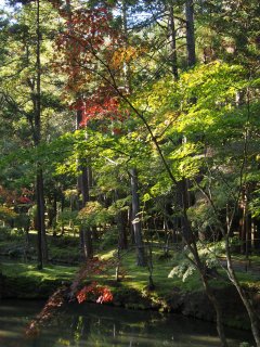 西芳寺29