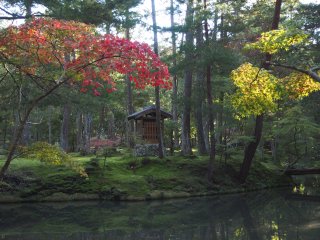 西芳寺30