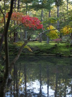 西芳寺32