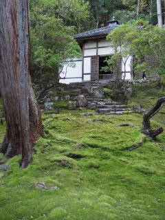 西芳寺37