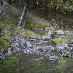 西芳寺38