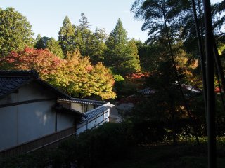 西芳寺40